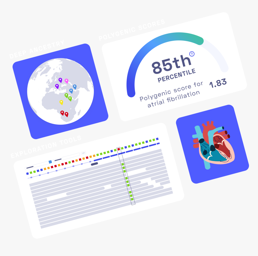 Graphic Design, HD Png Download