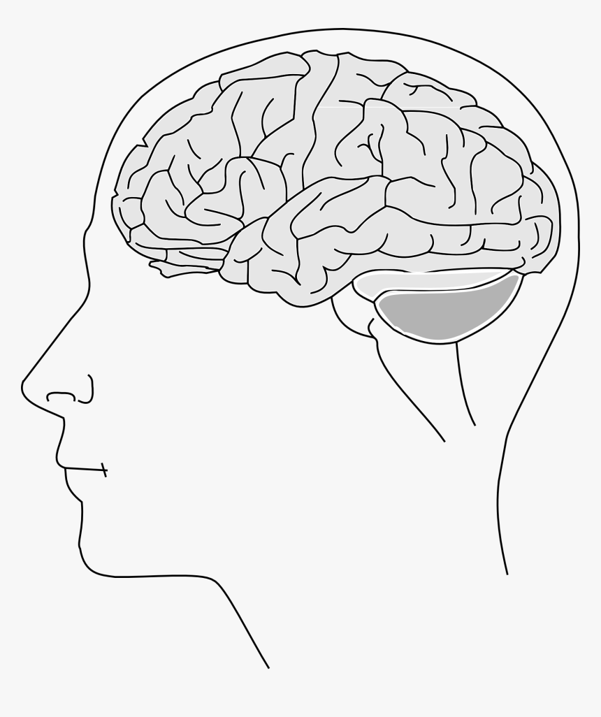 Estado De Salud Mental Png, Transparent Png