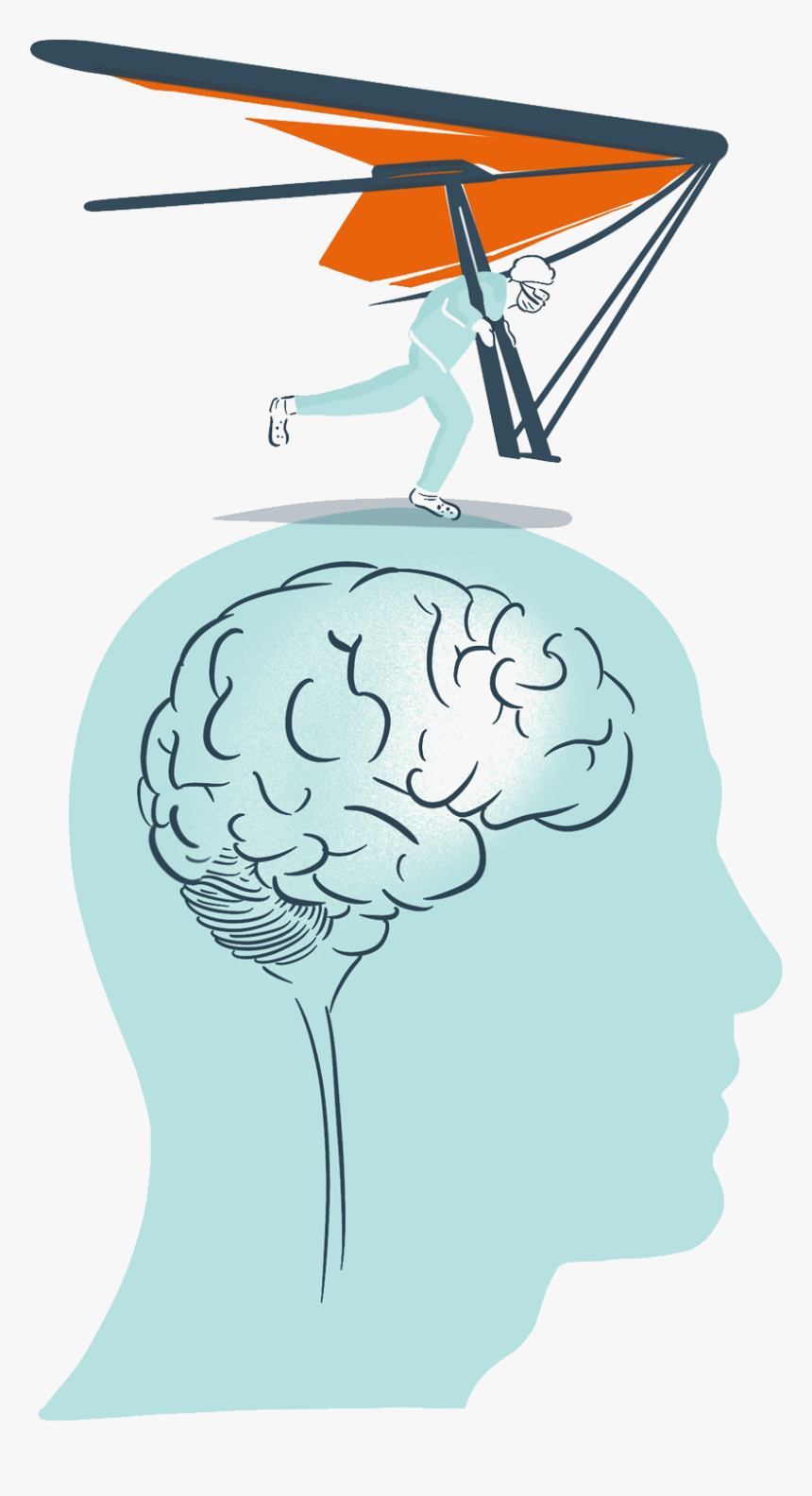 13 - Illustration, HD Png Download