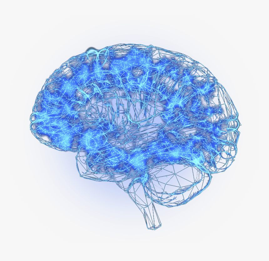 Sketch, HD Png Download