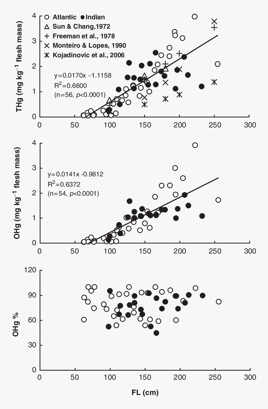 Diagram, HD Png Download