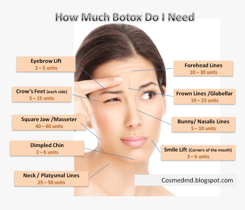 Trump Eyebrows Png - Can You Use Botox, Transparent Png