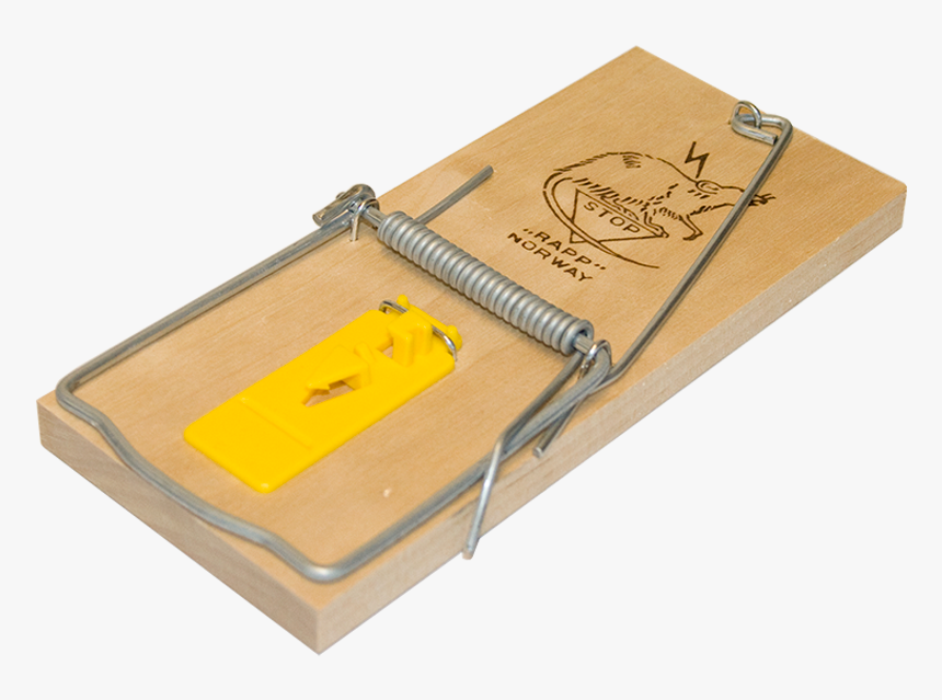 985square - Rapp Rottefelle, HD Png Download