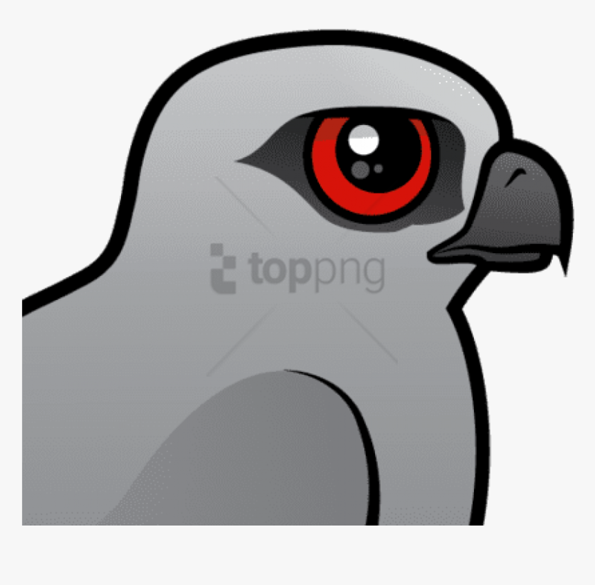 Free Png The Mississippi Kite Is A Medium Sized Bird - Cartoon, Transparent Png