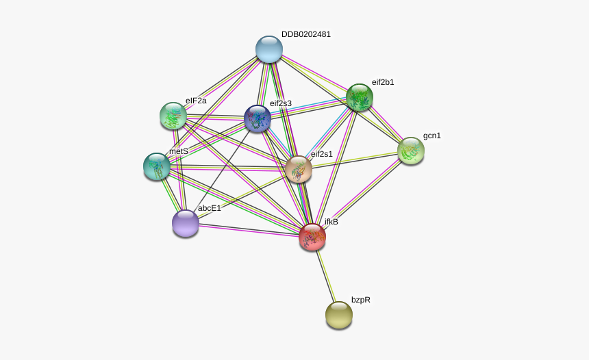 Ifkb Protein - Circle, HD Png Download