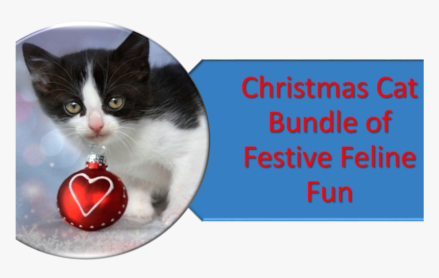 Transparent Christmas Cat Png - Christmas Sunday Quotes, Png Download
