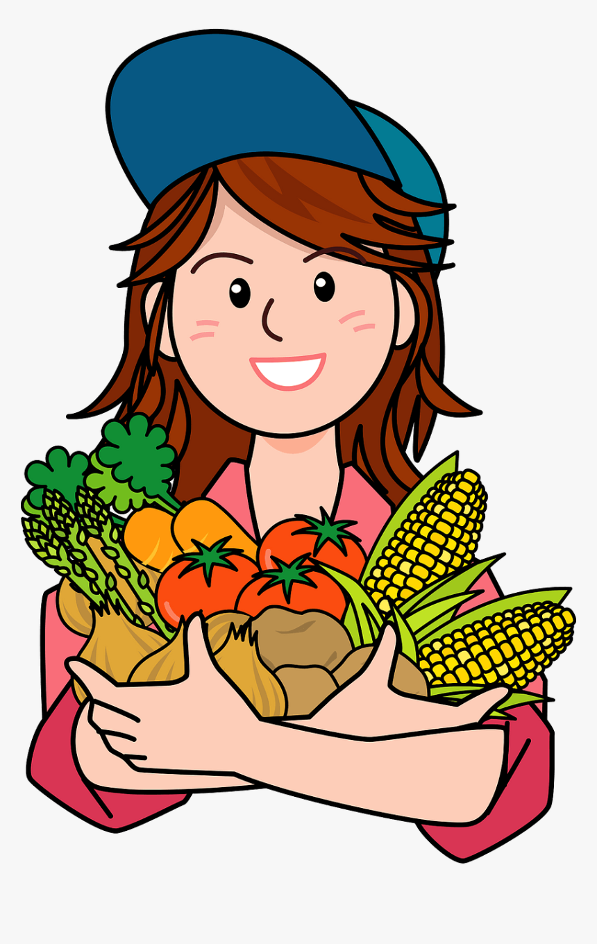 Clip Art, HD Png Download