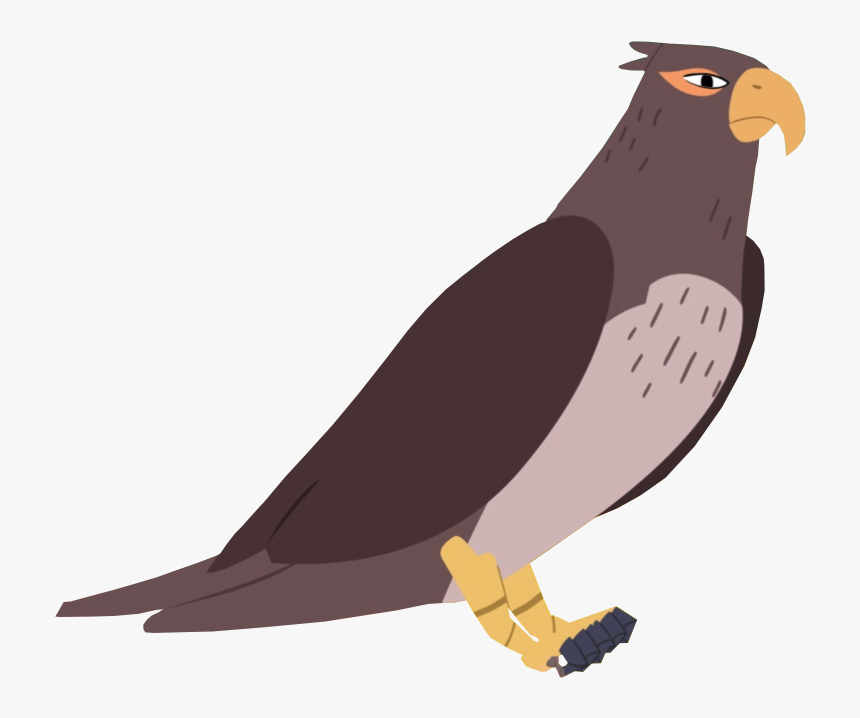 Falcon, HD Png Download