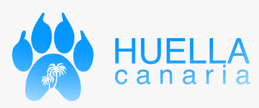 Logo - Animal Hospital Of Pensacola, HD Png Download