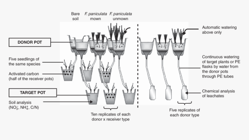 Pot Leaf Outline Png, Transparent Png