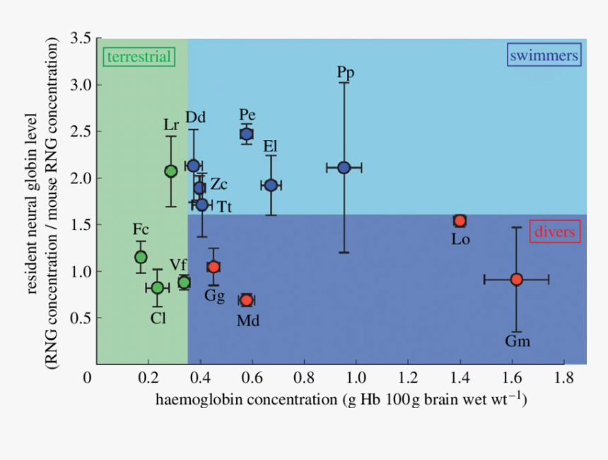 Screenshot, HD Png Download