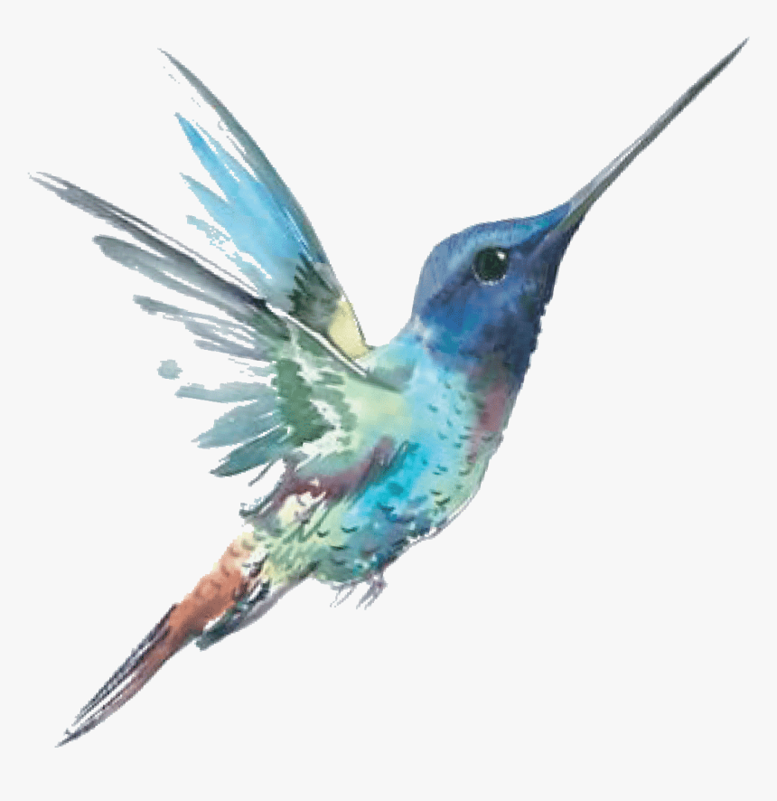 Временное Тату Колибри В Полете - Колибри Тату, HD Png Download