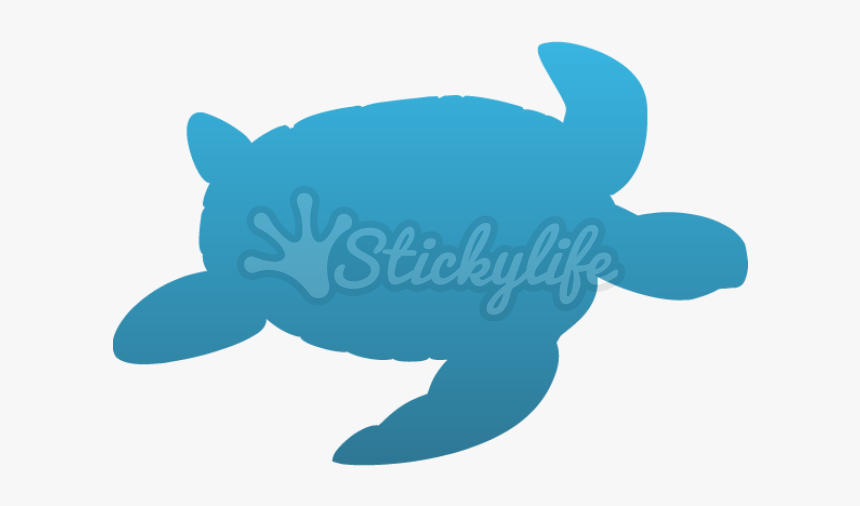 Sea Turtle Temporary Tattoo - Sea Turtle, HD Png Download