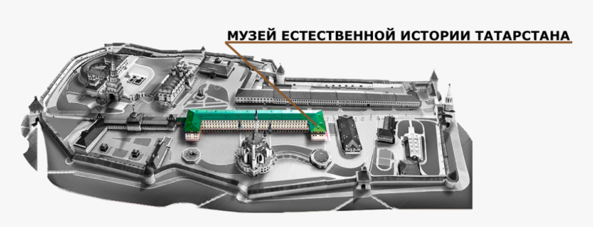 Natural History Museum Of Tatarstan - Музей Естественной Истории Татарстана, HD Png Download