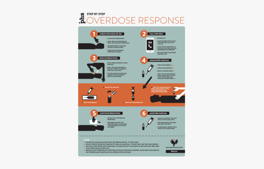 Durc Web Od1, HD Png Download