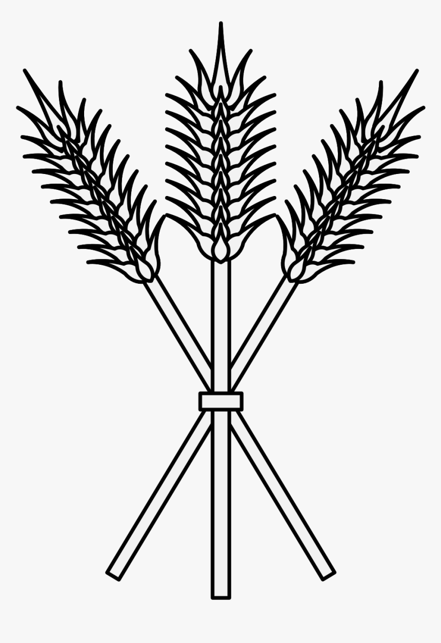 Line Drawing At Getdrawings - Clip Art, HD Png Download