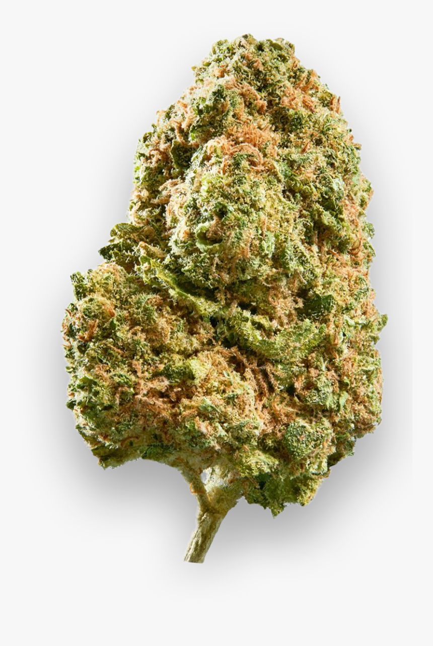 California Haze, HD Png Download