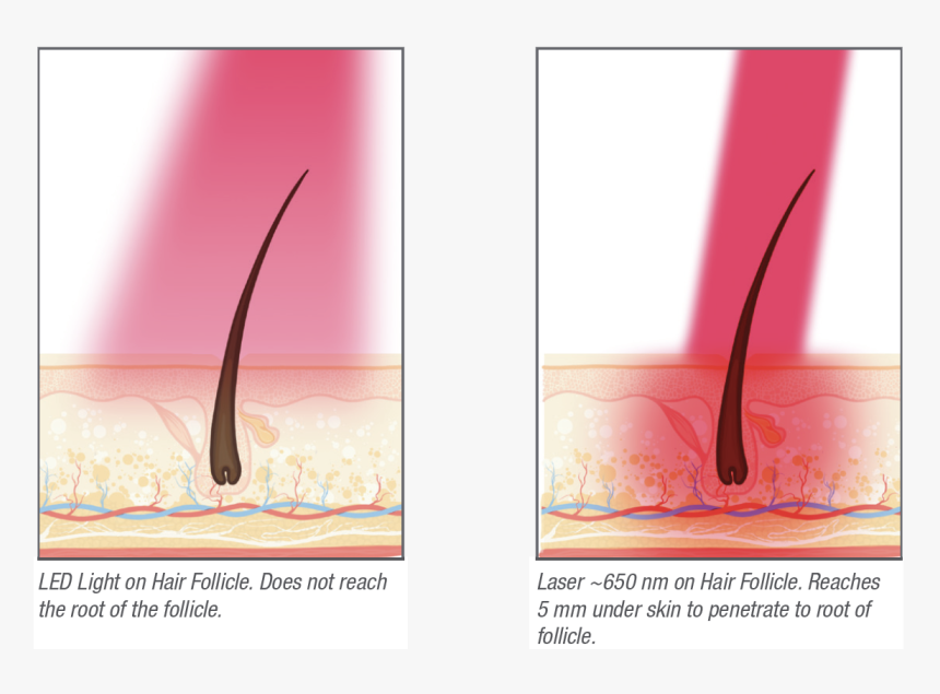 Art, HD Png Download