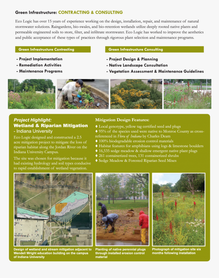 Tree, HD Png Download