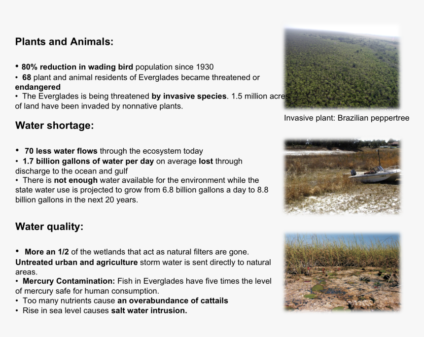 Boat, HD Png Download