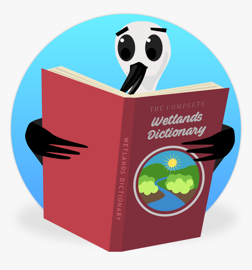 Turkey, HD Png Download