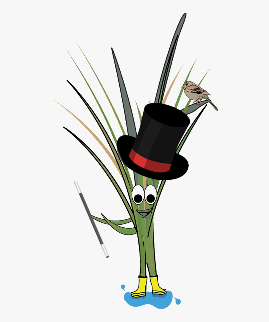 Illustration, HD Png Download