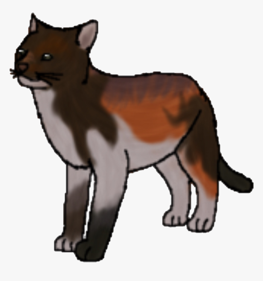 Wildfang Warrior Cats, HD Png Download