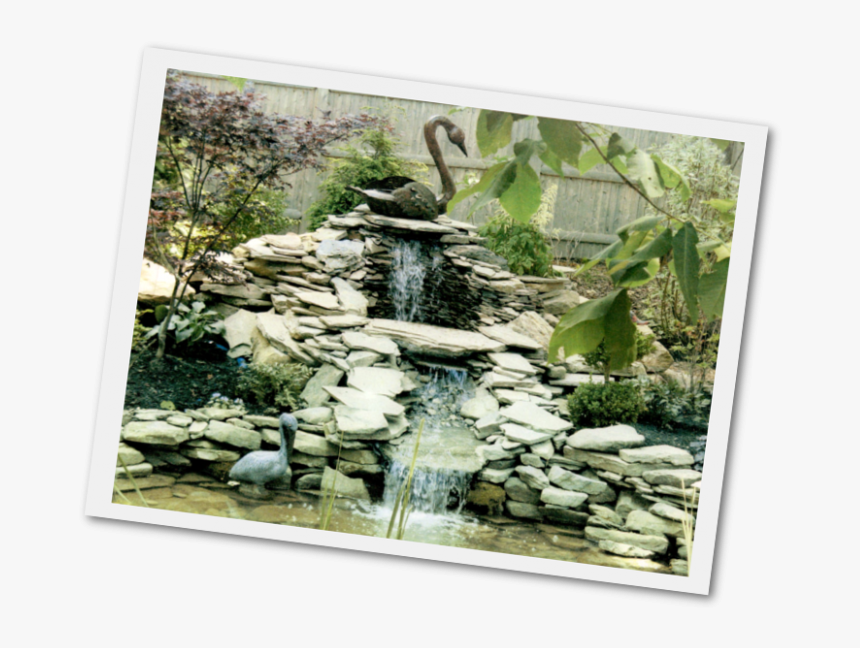Ponds And Water Gardens Barrington Waterfall - Garden, HD Png Download
