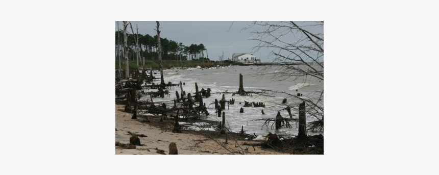 Screen Shot 2014 04 25 At - Painting, HD Png Download