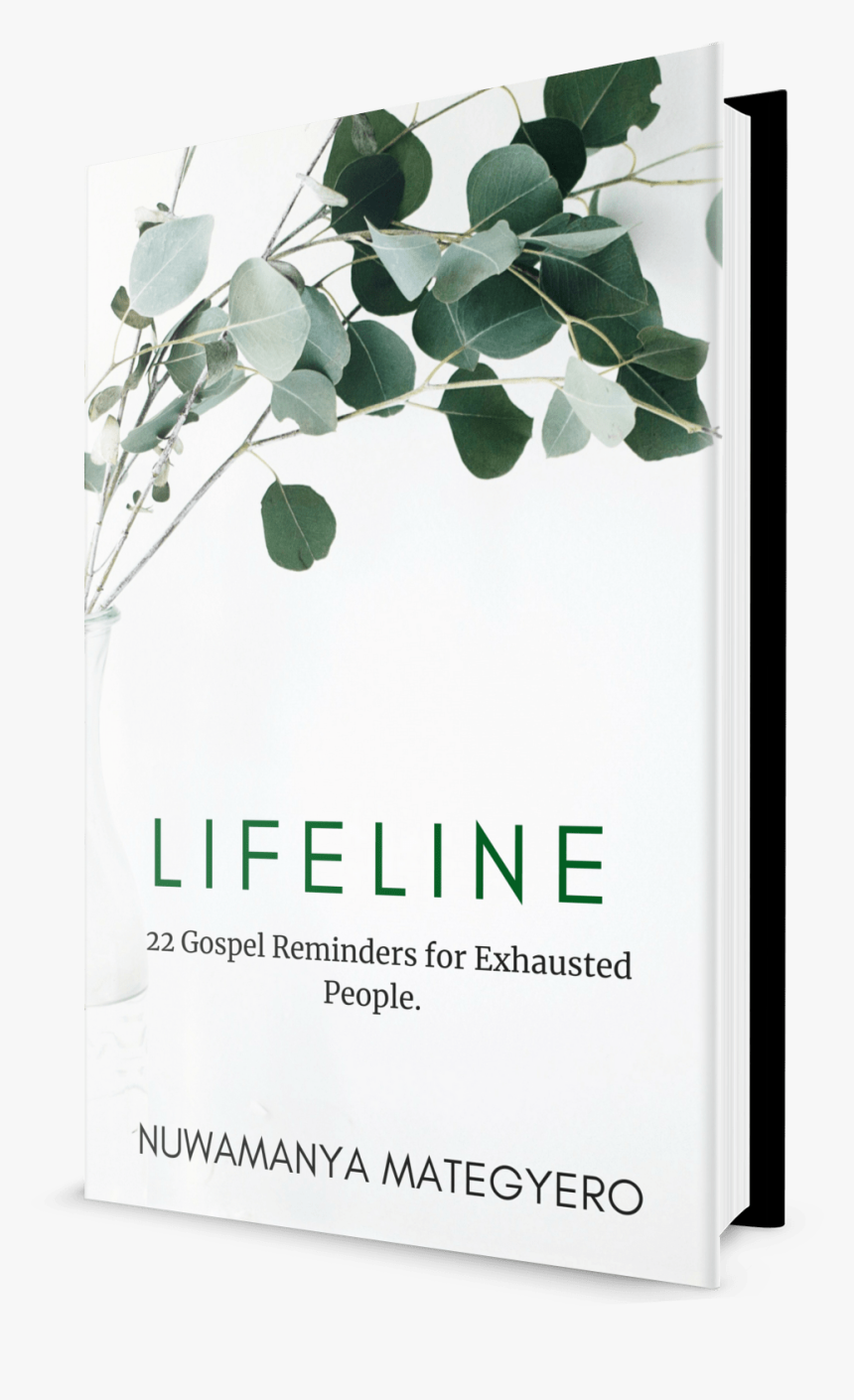 Bach & Vivaldi For Mandolin , Png Download - Acts 17 She Reads Truth, Transparent Png