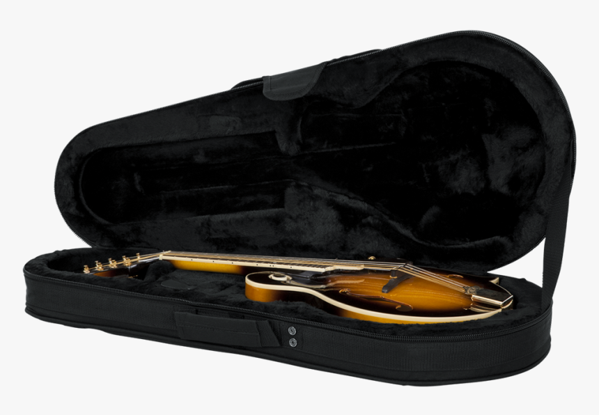 Gator Cases Mandolin Lightweight Case - Viola, HD Png Download