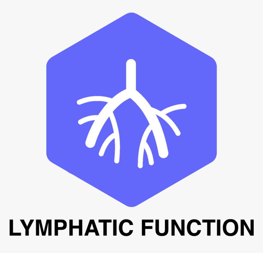 Reboot Pod Lymphatic Symbol - Baby Changing Station Sign, HD Png Download