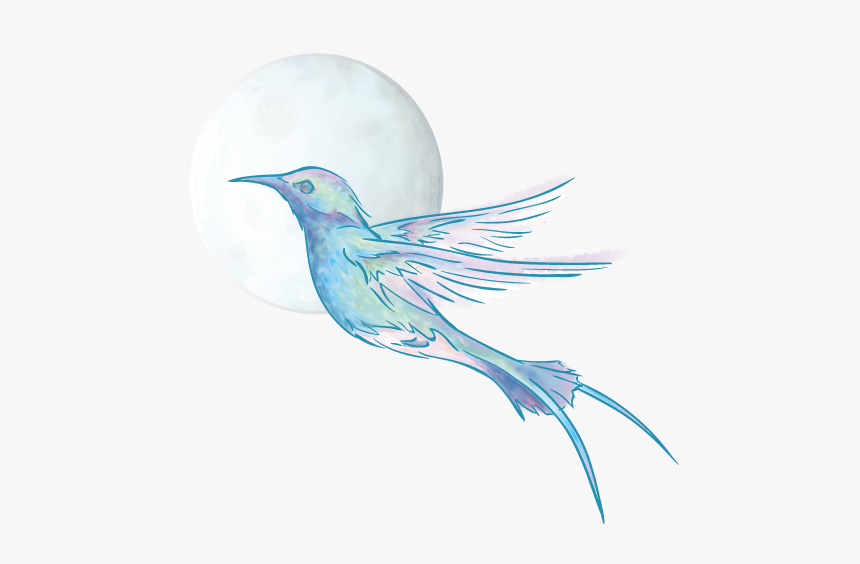 Perching Bird, HD Png Download