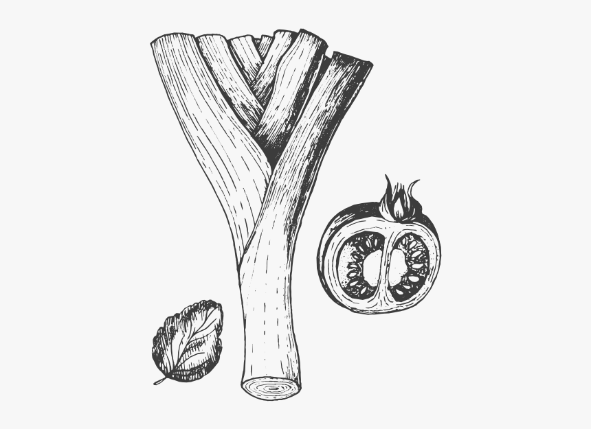 Sketch, HD Png Download