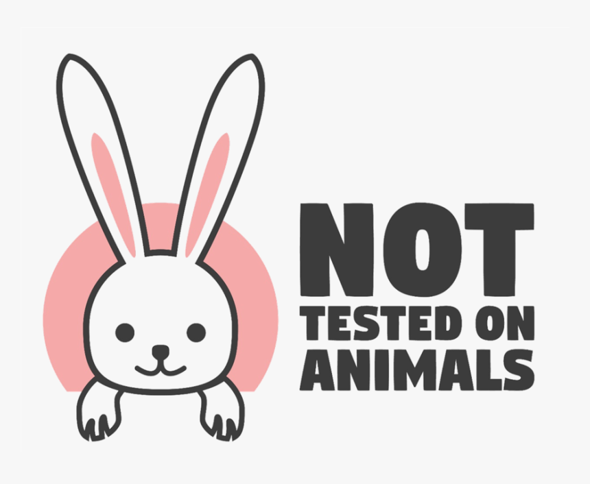 Domestic Rabbit, HD Png Download