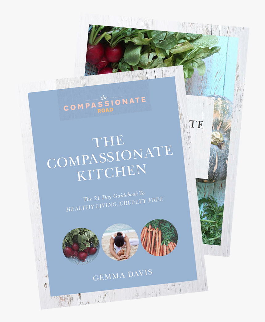 21 Day Guidebook - Flyer, HD Png Download
