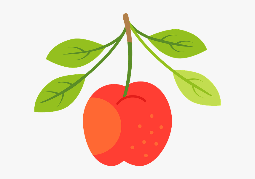 Clip Art, HD Png Download