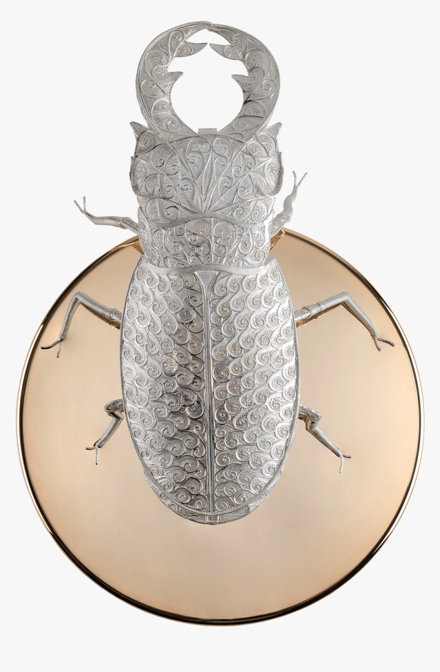 Lizard, HD Png Download