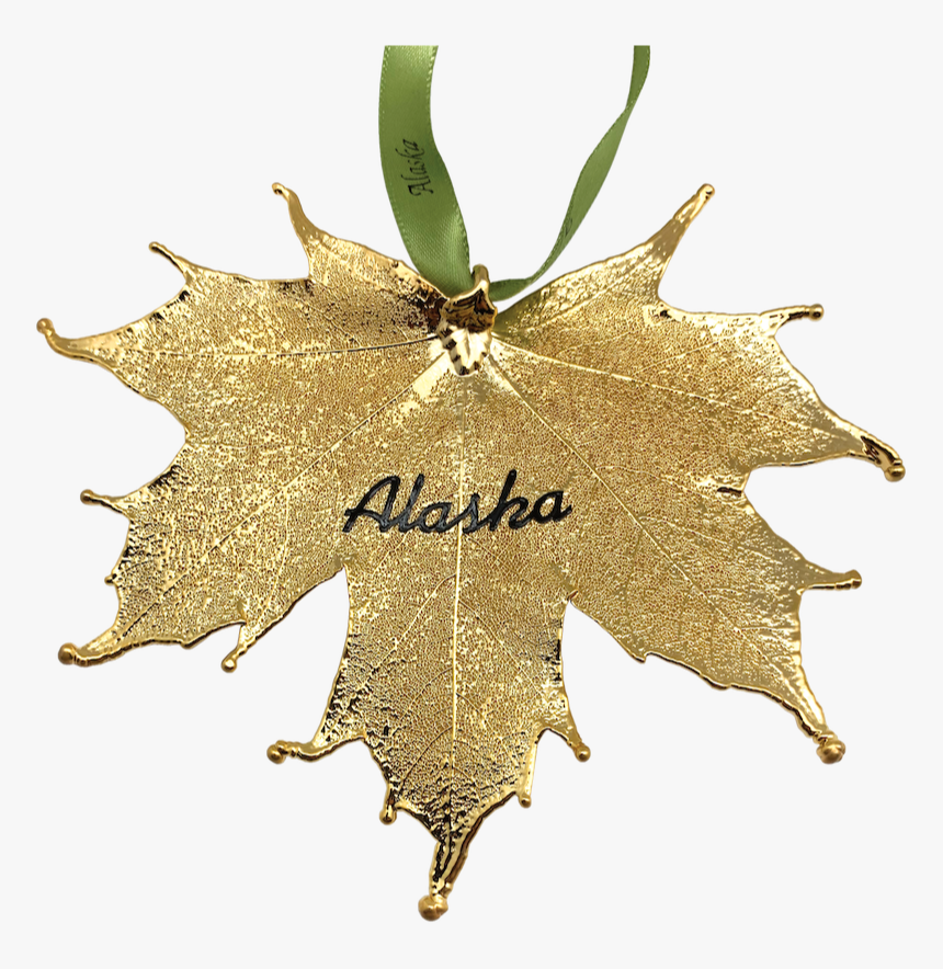 American Holly, HD Png Download