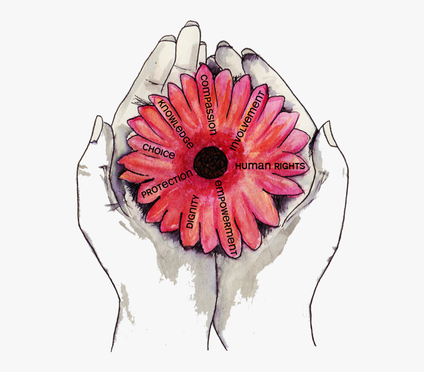 Integritas Support Provides An Independent Social Work - Oriental Poppy, HD Png Download