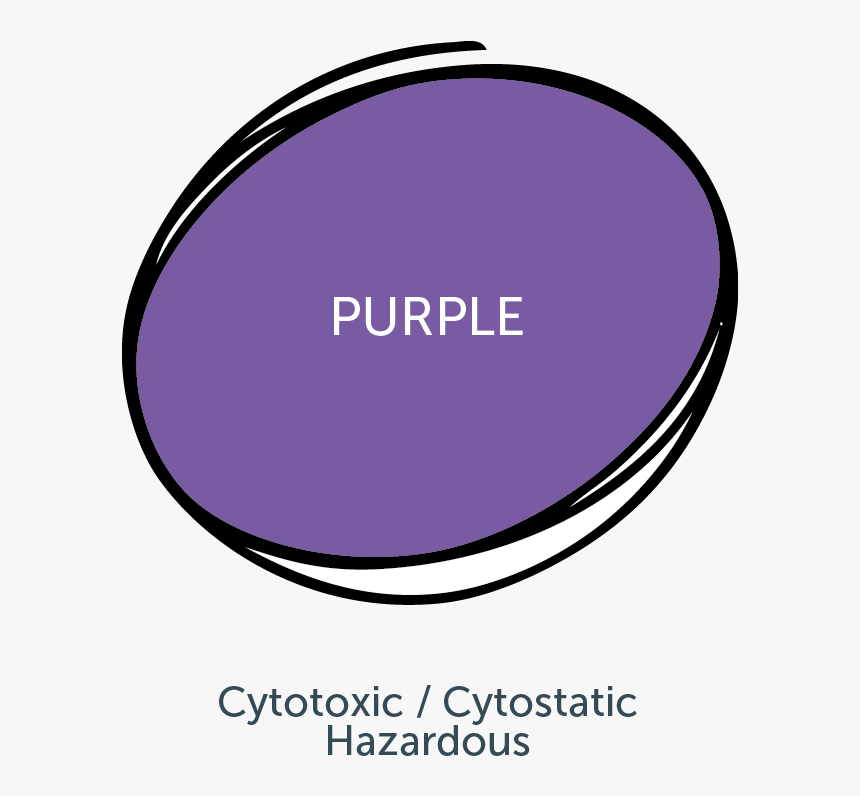 Circle, HD Png Download