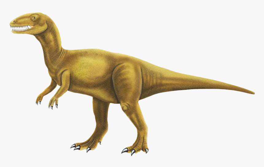 Free Dinosaur Pictures, Free Printables Dinosaurs Cliparts - Realistic Dinosaur Clipart, HD Png Download
