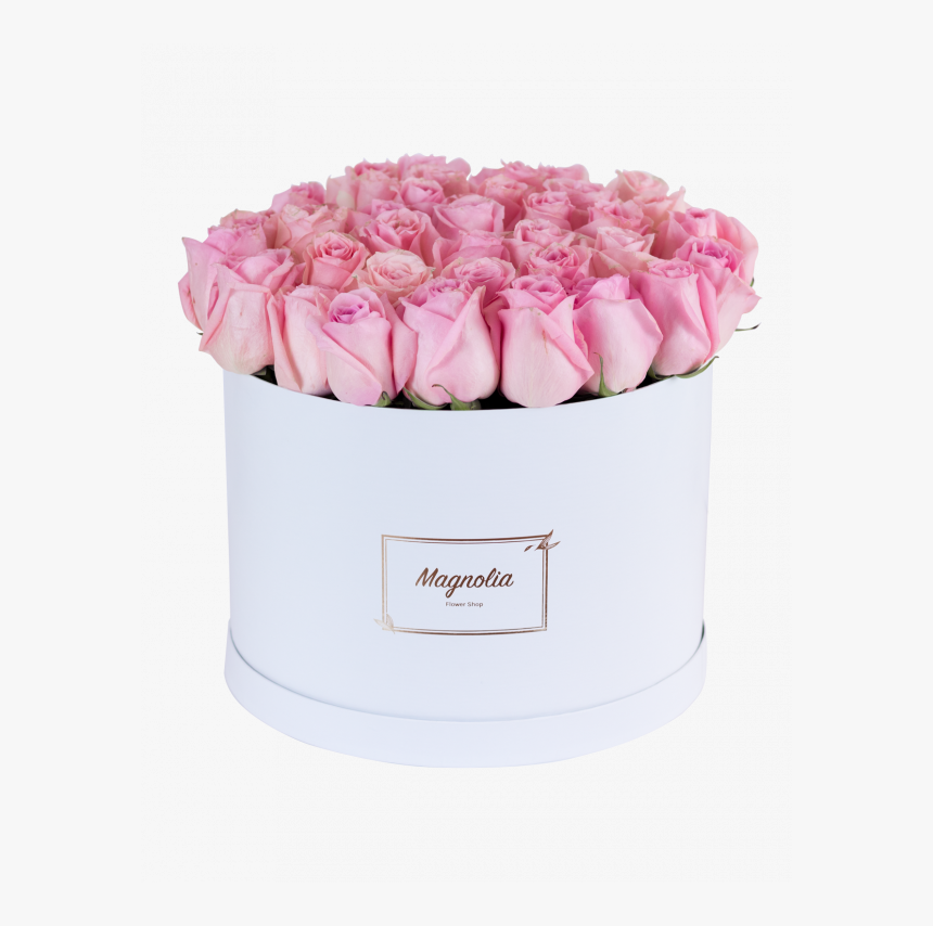 Rosa × Centifolia, HD Png Download