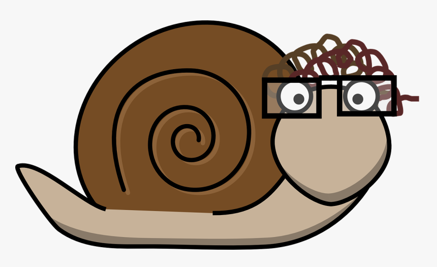 Snail With Glasses, HD Png Download