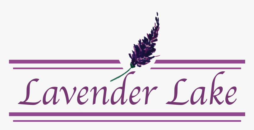 Logo Transparent - Energetiks, HD Png Download