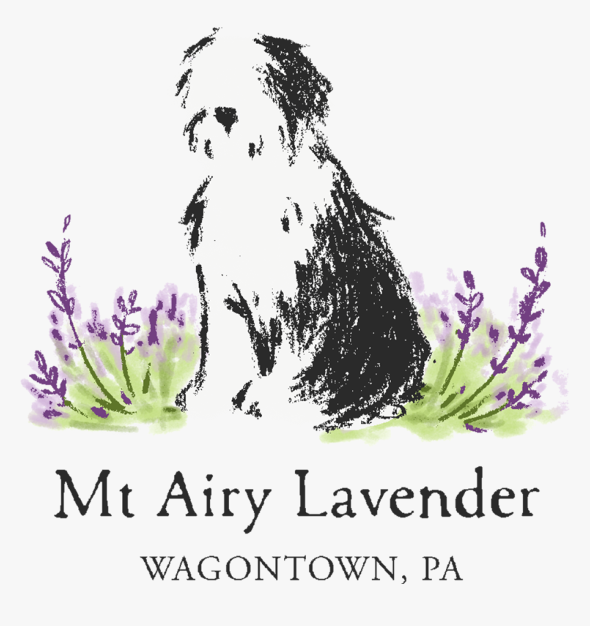 Lavander Png, Transparent Png