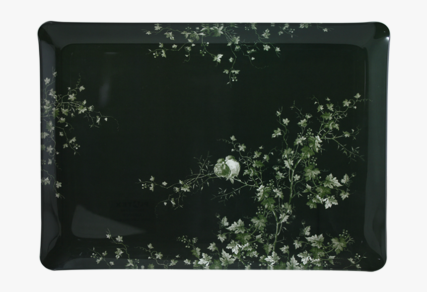 Acrylic Serving Tray - Jasmine, HD Png Download