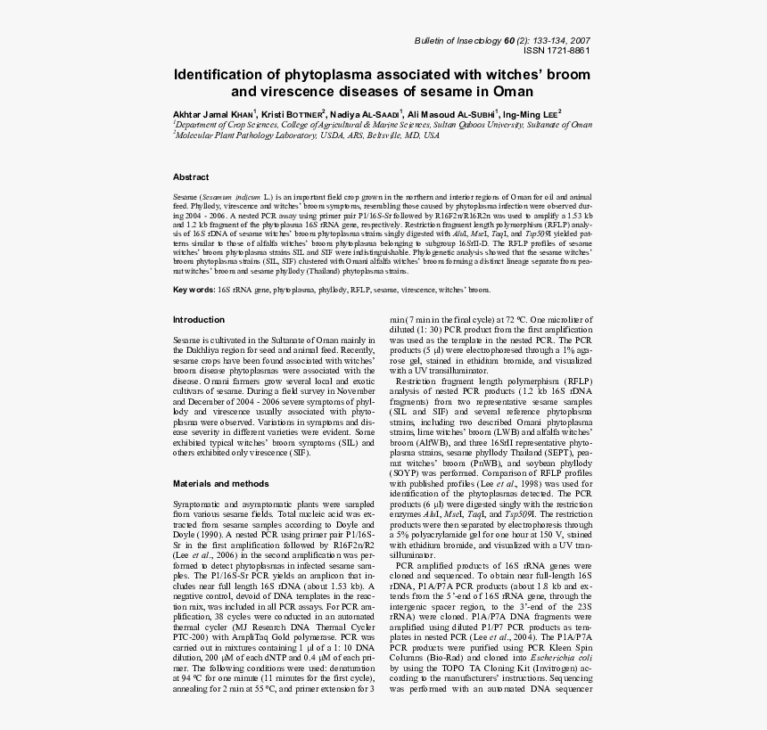 Document, HD Png Download