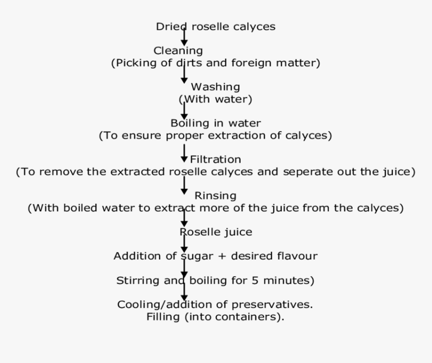 Flow Chart For The Production Of Zobo Beverage - Flow Chart Production Of Alcoholic Beverages, HD Png Download