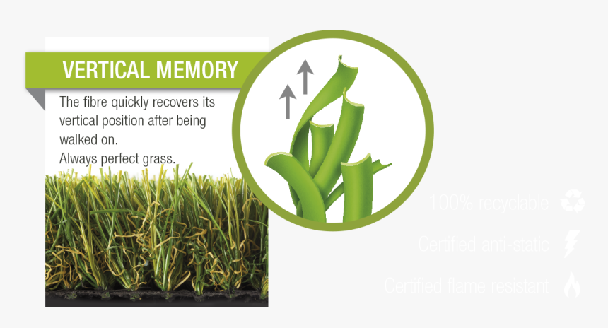 Cesped Textoen - Grass, HD Png Download